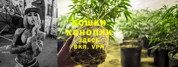 spice Аркадак
